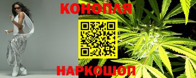 гидра Можга